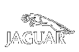 jaguar.gif (1209 Byte)